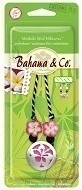 HANGING BLOSSOM